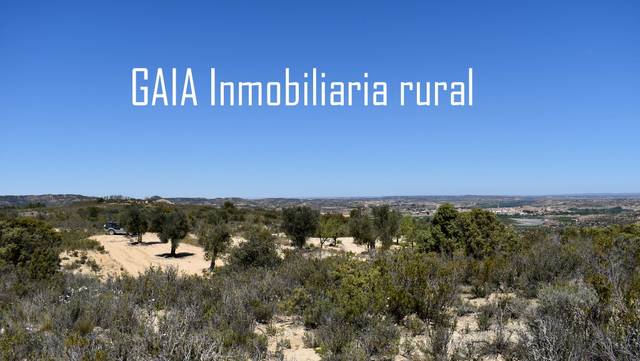 Terreno en Venta en Maella