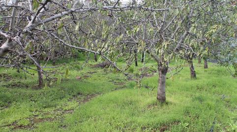 Foto 5 de Terreny en venda a Valsequillo de Gran Canaria, Las Palmas