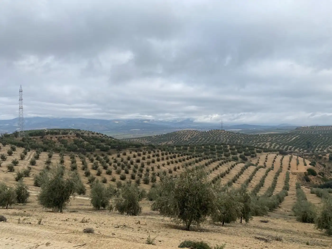 Casa rustica in vendita a Huétor Tájar, imagen 23