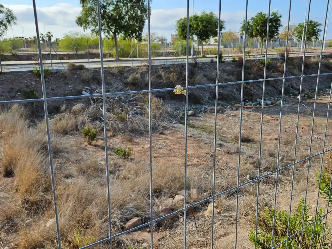 Terreny residencial en venda a Metge José Borrajo 2, imagen 15