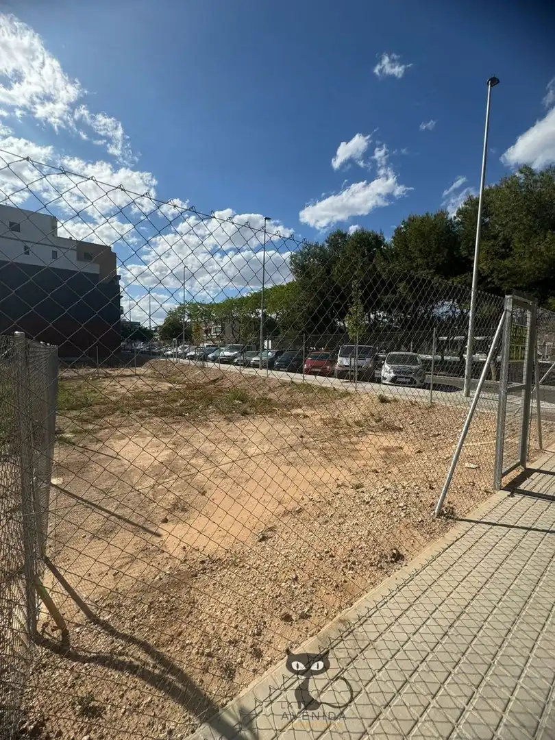 Rural land for sale in Calle José Codoñer, imagen 2