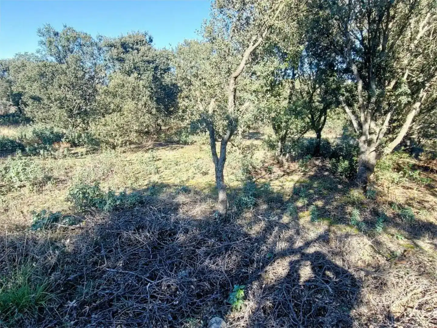 Residencial en venta en Fresno de Cantespino