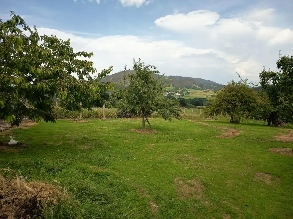 Casa o xalet en venda en Llanera amb Moblat
