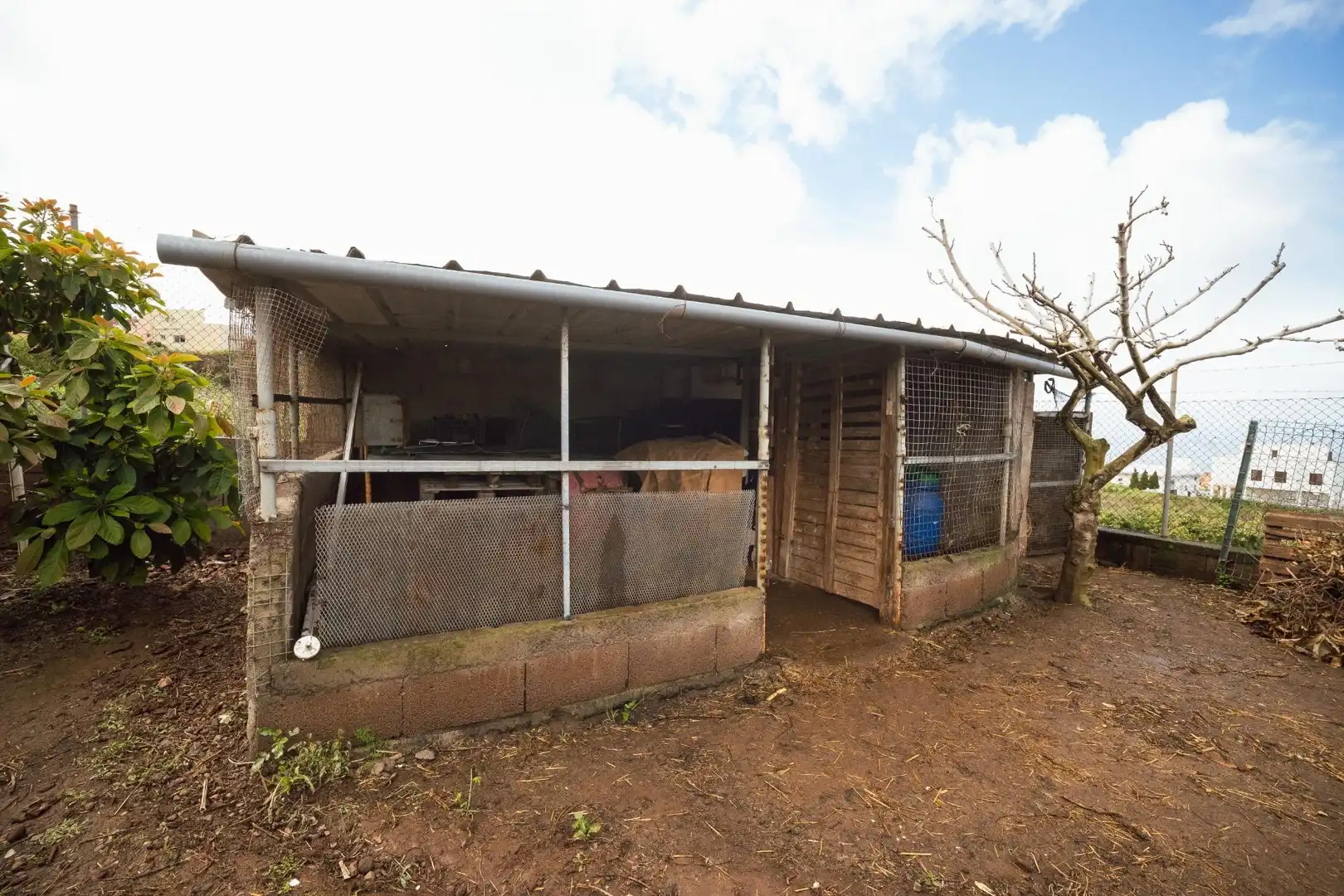 Vista exterior de Finca rústica en venta en El Sauzal