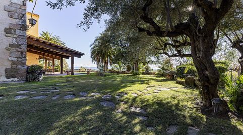 Foto 3 de Casa o chalet en venta en La Bisbal del Penedès, Tarragona