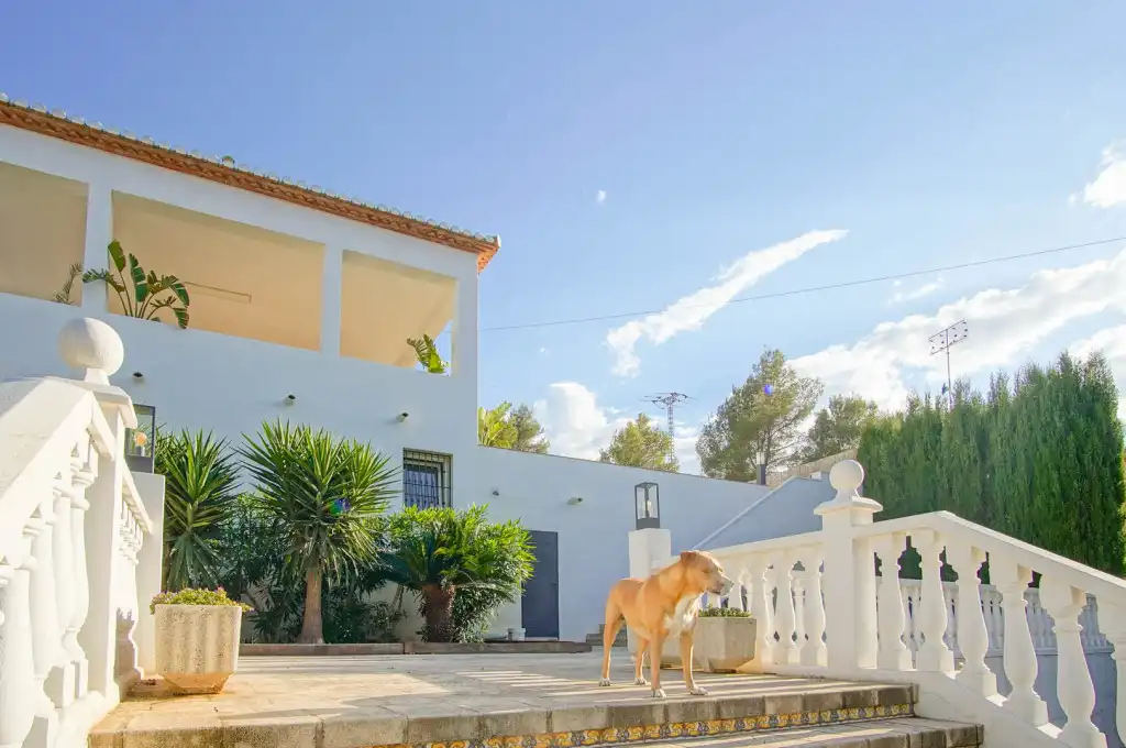 House with terrace for sale in Centro Urbano, imagen 33