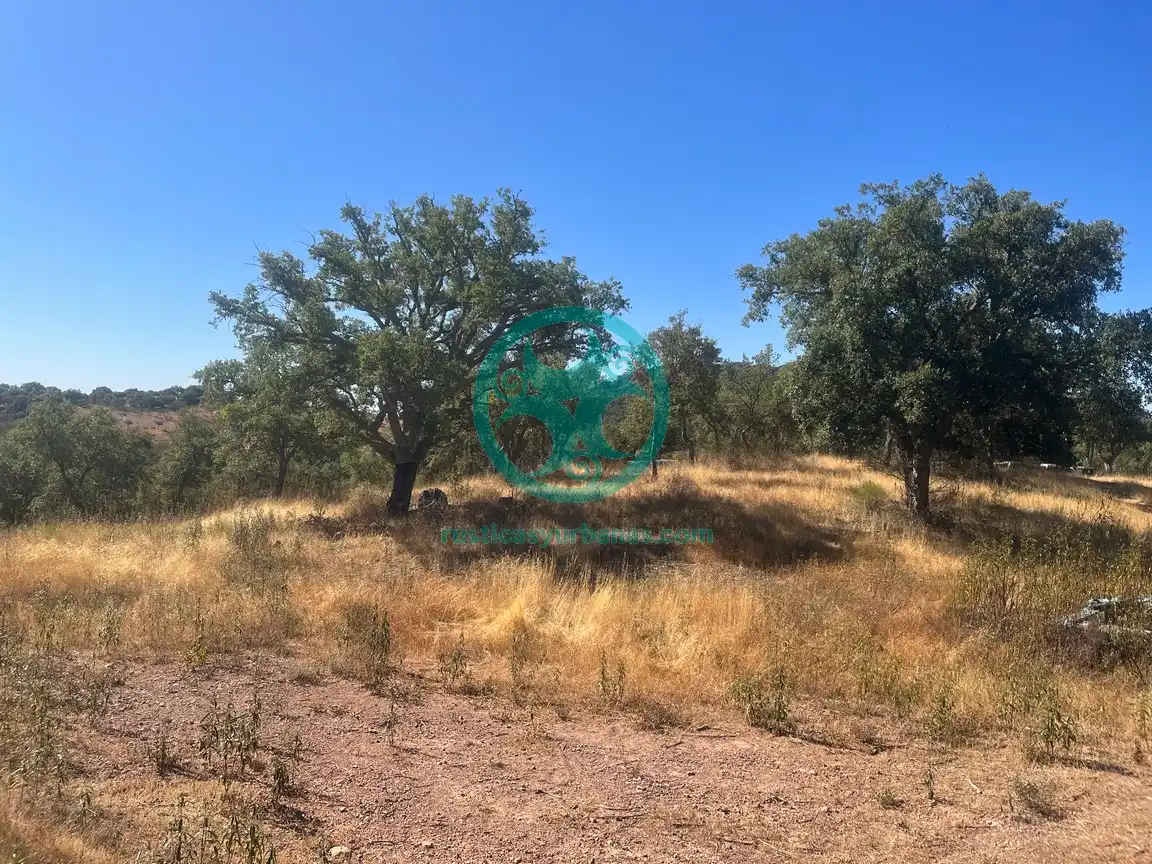 Terreni e lotti in vendita a Valdesalor - Rincón de Ballesteros, imagen 10