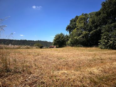 Residential land for sale in Calle de Marrozos 7