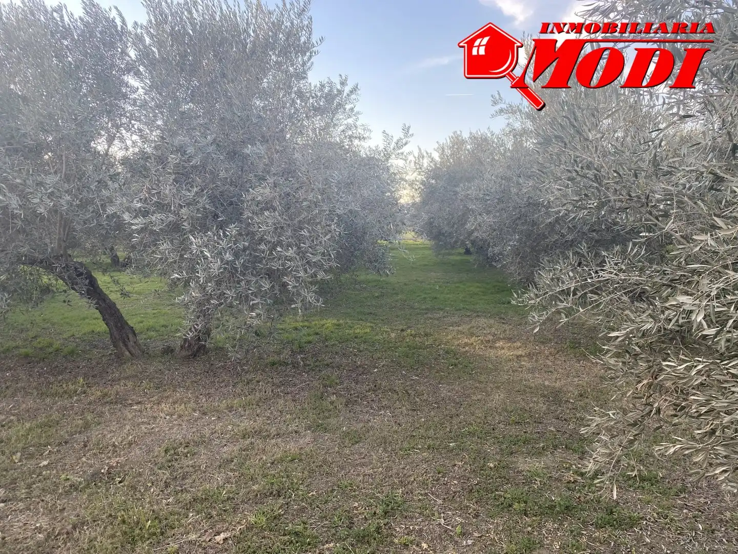 Terrenys i solars en venda a Belicena, imagen 16