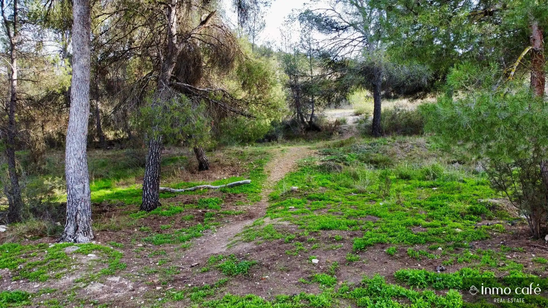 Terreno residenziale in vendita a Manuel Ocaña Valverde, imagen 18