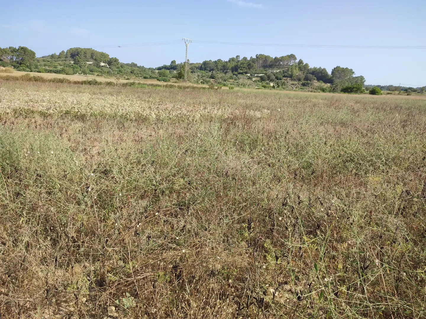 Terrain rustique à vendre à Sant Joan, imagen 10