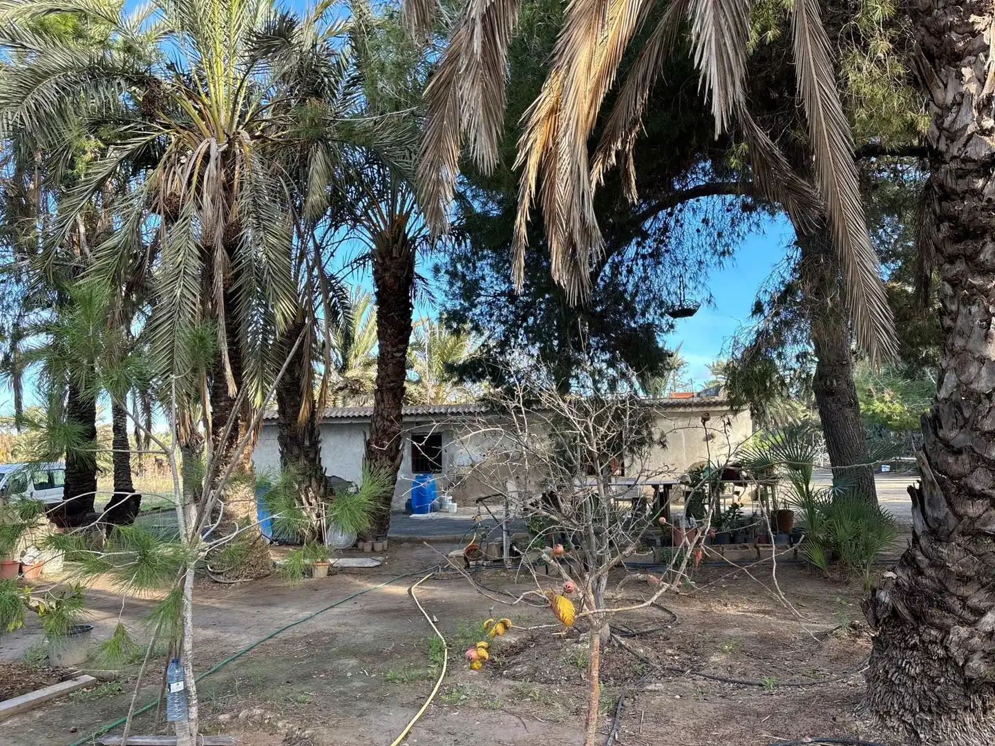 Finca rústica en venda en Elche / Elx