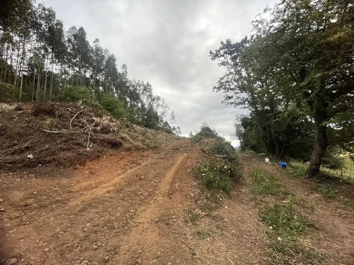 Residential land for sale in Grado, imagen 3