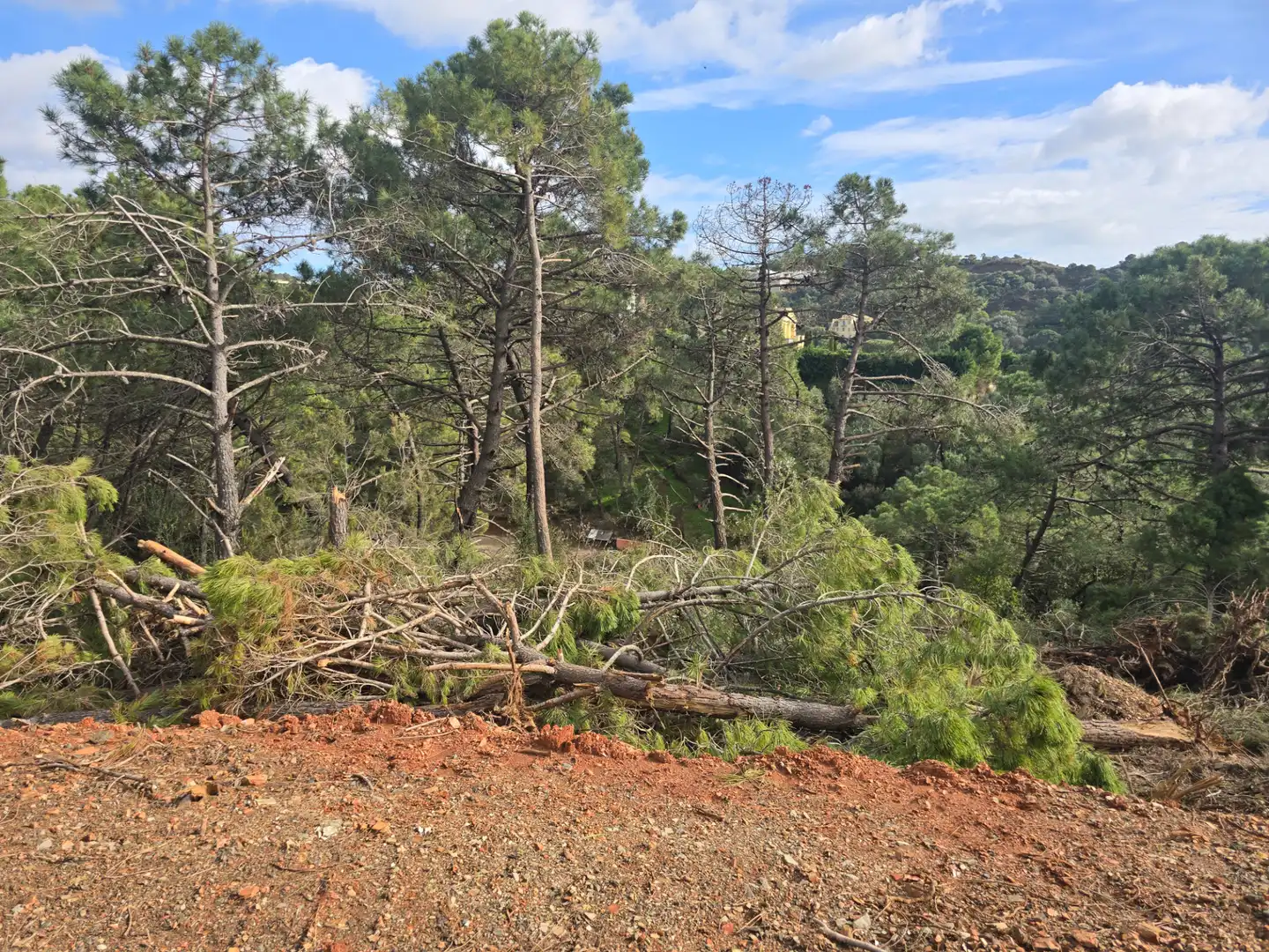 Casa o chalet en venta en Benahavís con Aire acondicionado, Calefacción y Jardín privado