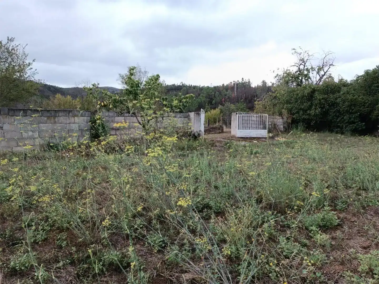 Casa o chalet en venta en Rubiá, Ourense
