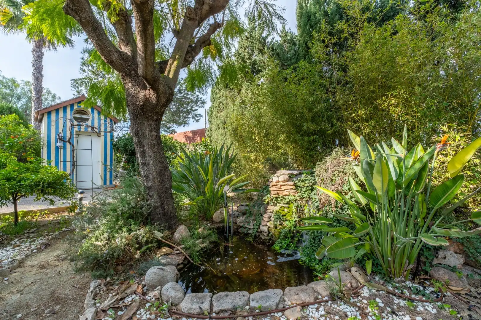 Jardín de Casa o chalet en venta en Elche / Elx con Aire acondicionado, Calefacción y Jardín privado