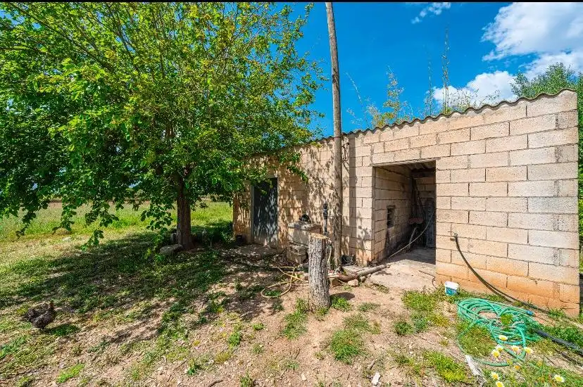 Rural land for sale in Santa Margalida Poble, imagen 2