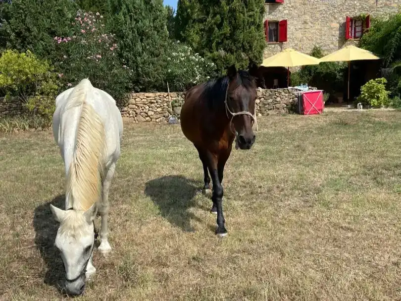 Vista exterior de Finca rústica en venda en Maià de Montcal amb Aire condicionat, Piscina i Balcó