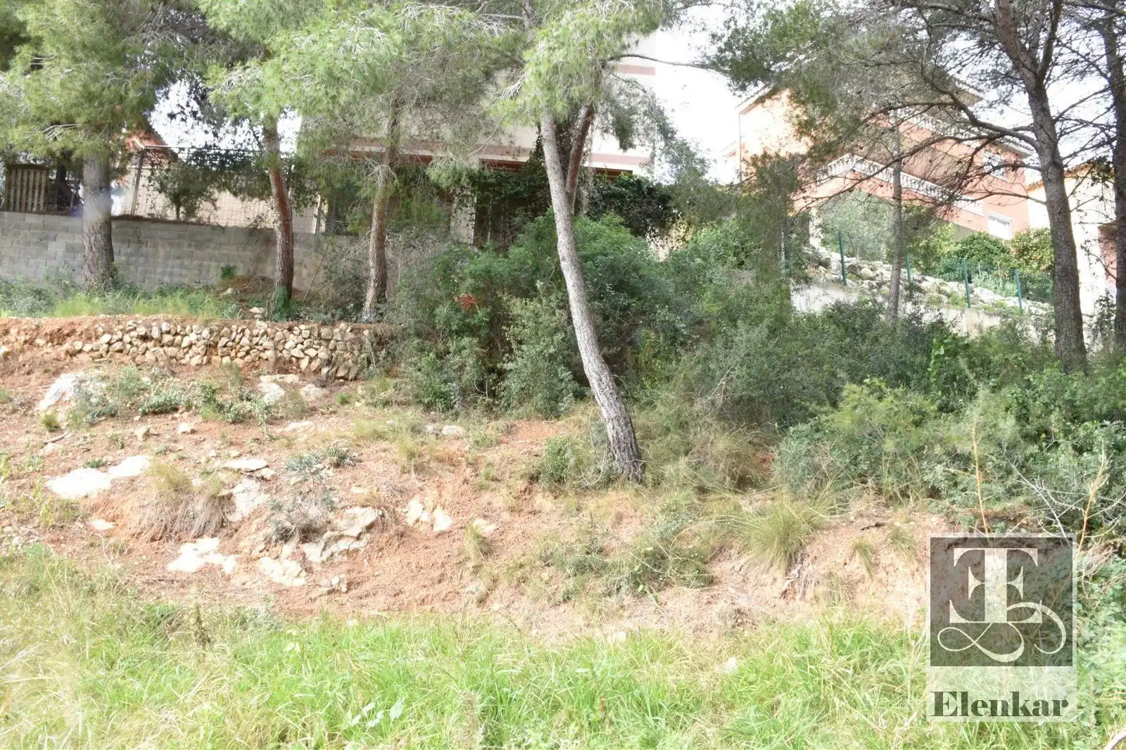 Rural land for sale in GLADIOL, imagen 8