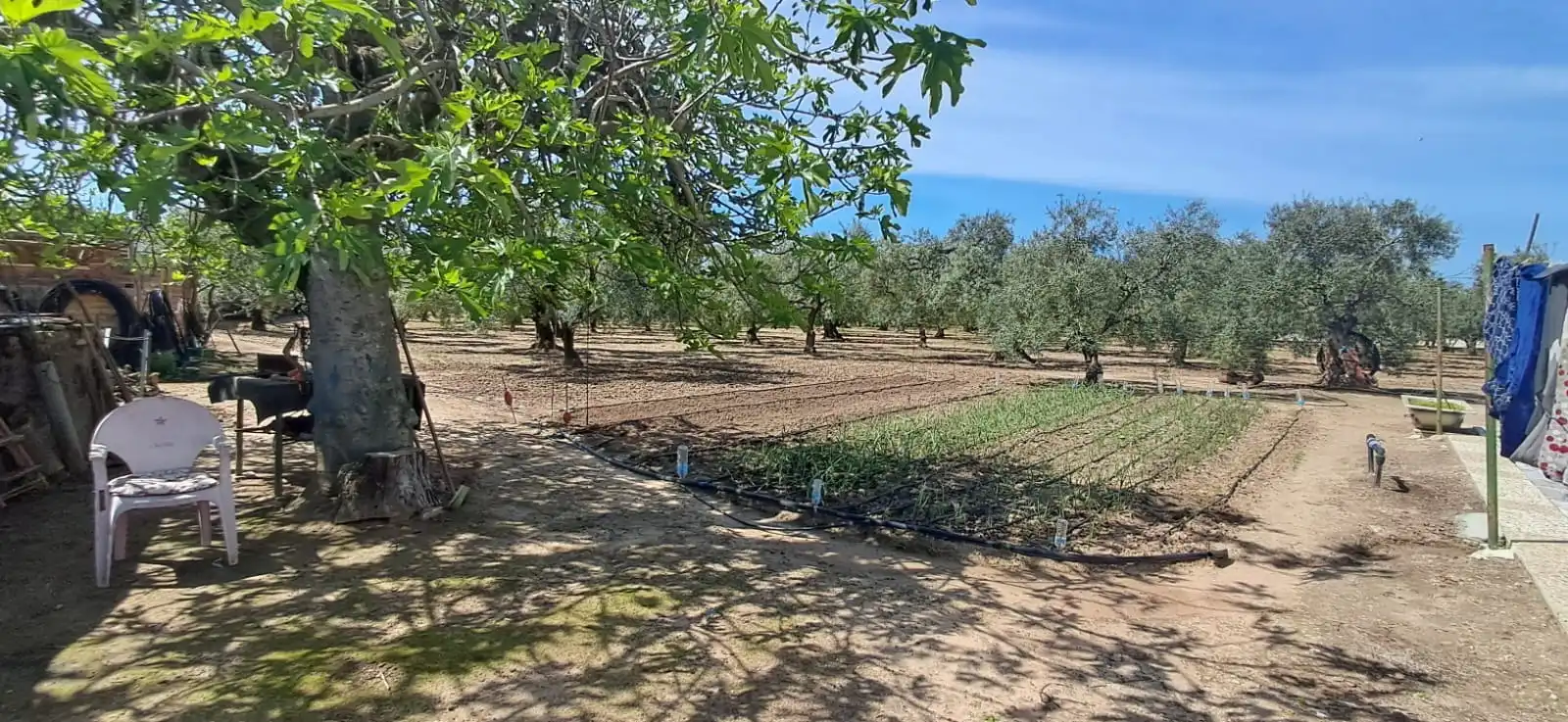 Houses for sale in Utrera  with Private garden and Swimming Pool