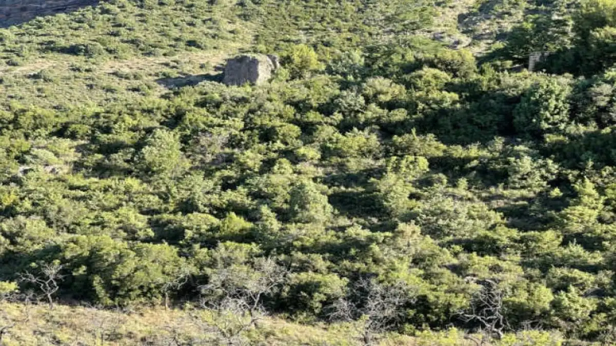 Residencial en venda en Agüero