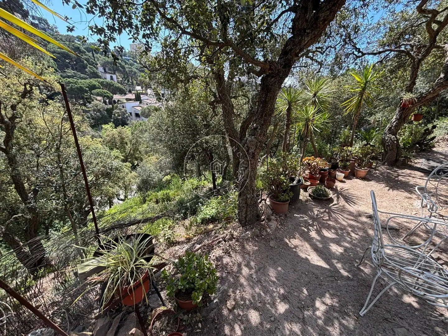Terrenos y solares en venta en Canyelles, imagen 13