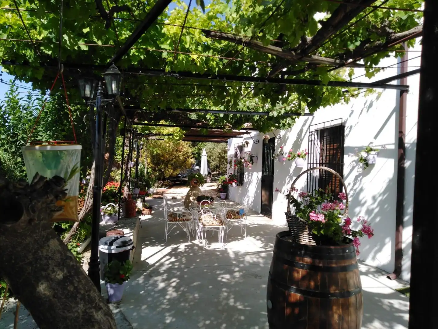 Garden of Houses for sale in Jaén  with Air Conditioner and Furnished