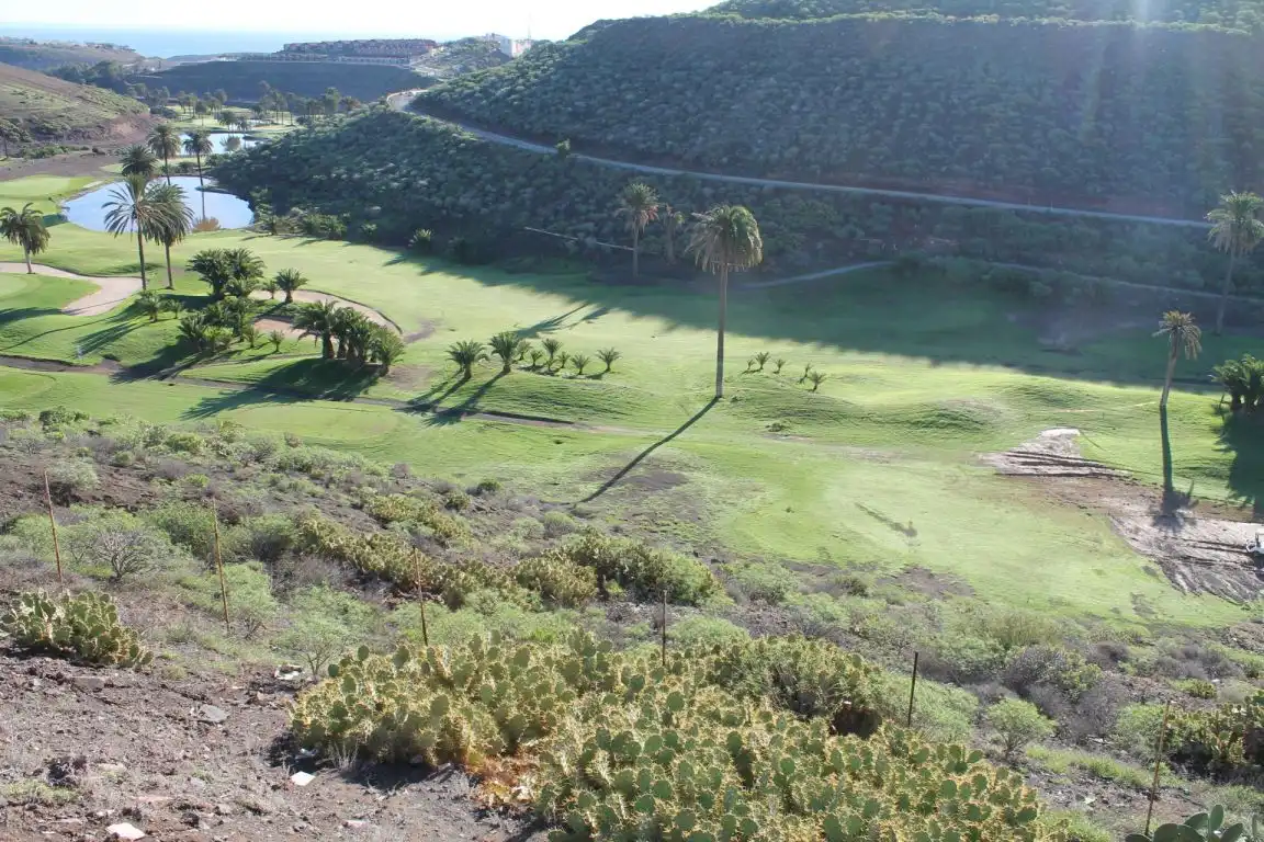 Vista exterior de Residencial en venta en Telde