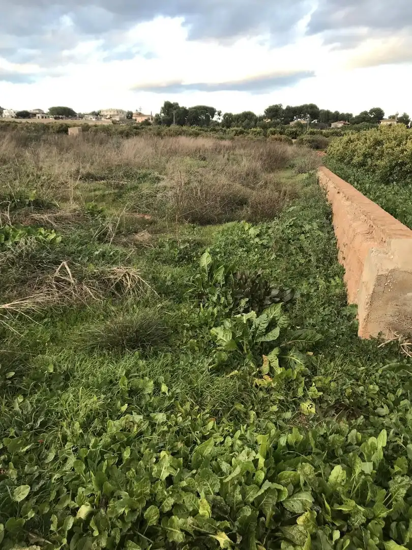 Lands and plots for sale in Corralet - Bonanza - Tres Rutas, imagen 7