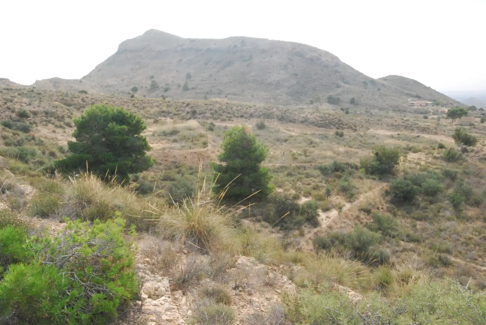 Terreno rustico in vendita a Valle del Sol, imagen 19