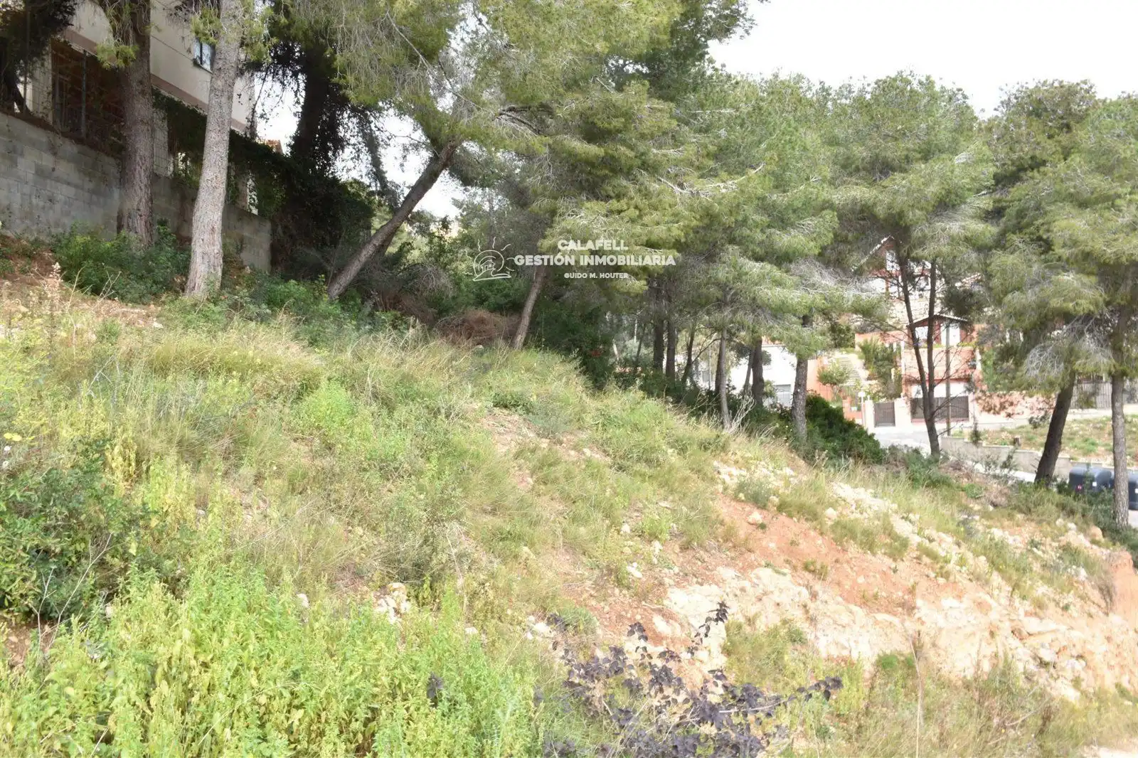 Rural land for sale in GLADIOL, imagen 3