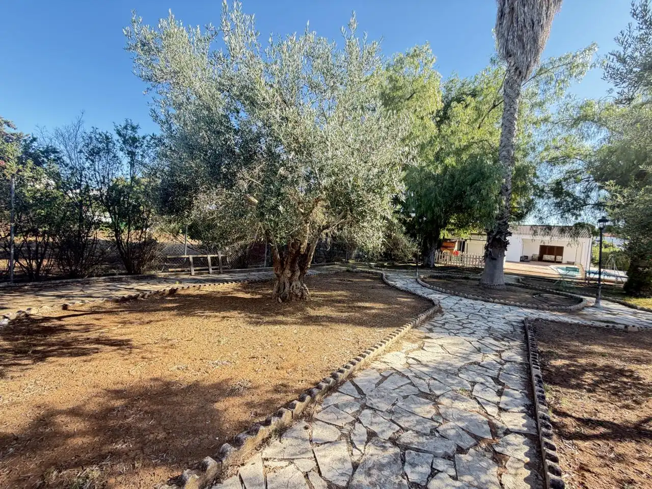 Houses for sale in Almendralejo