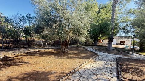 Photo 4 of Houses for sale in Vereda de Cuéllar, Almendralejo, Badajoz