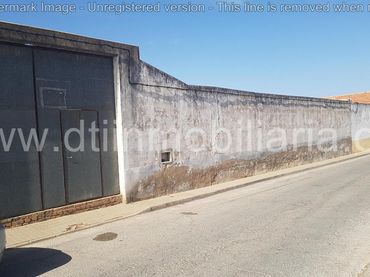 Terreni e lotti in vendita a Olivo