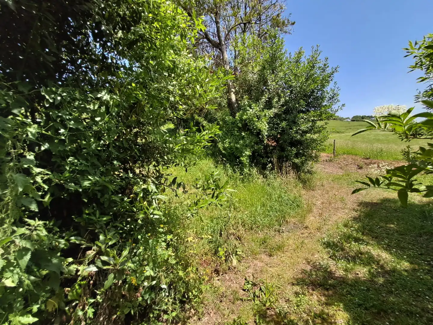 Residential for sale in Carreño