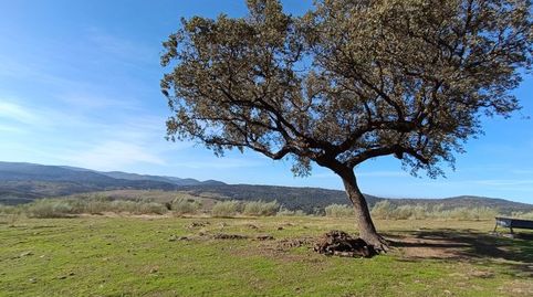 Photo 2 of Land for sale in Polígono Poligono, Cabañas del Castillo, Cáceres