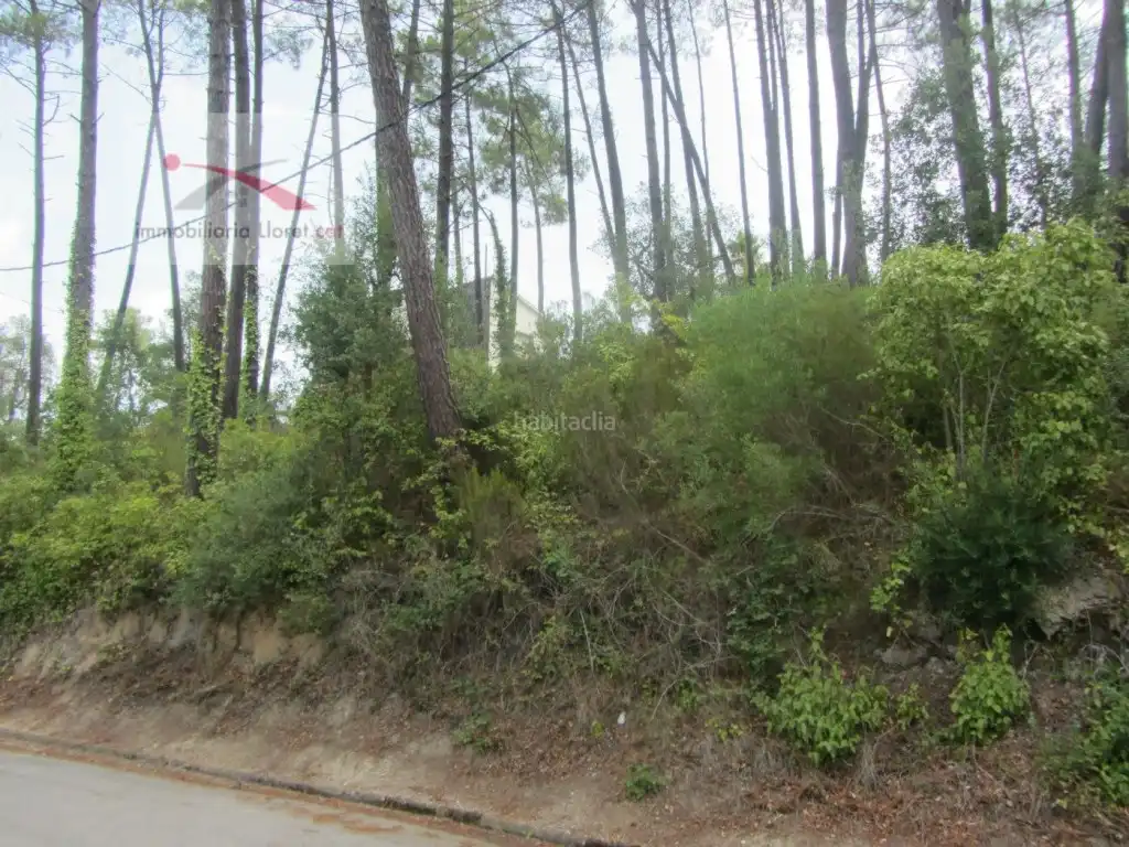 Terreny residencial en venda a Lloret Blau - La Creu de Lloret, imagen 3