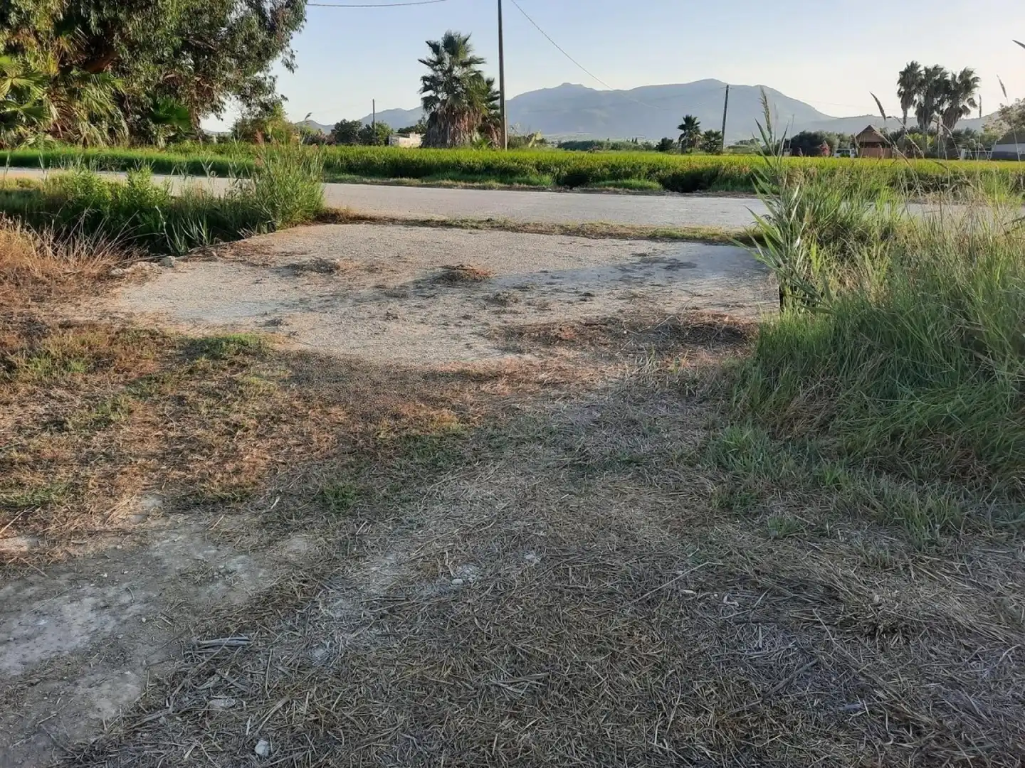 Terrain rustique à vendre à Eucaliptus- Poble Nou del Delta, imagen 11