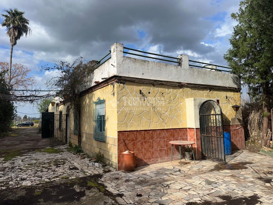 Exterior view of Country house for sale in  Sevilla Capital  with Private garden and Furnished