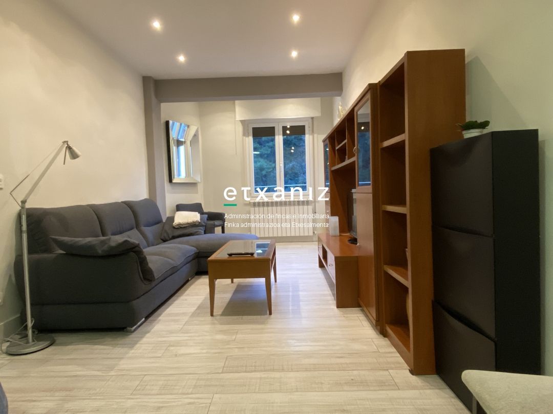 Sala d'estar de Pis de lloguer en Donostia - San Sebastián  amb Calefacció, Forn i Rentadora