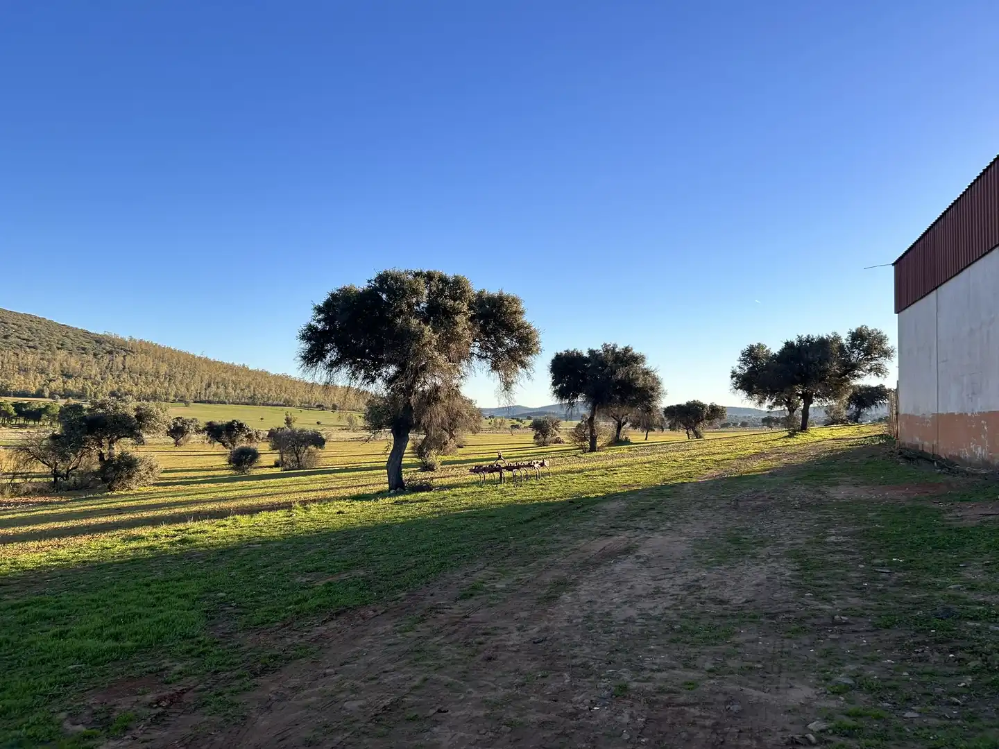 Terreny rústic en venda a Peraleda del Zaucejo, imagen 9