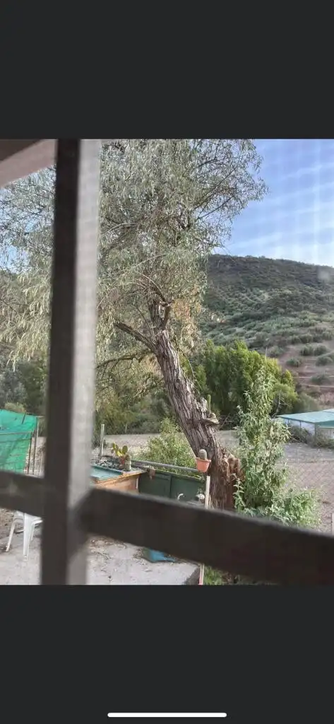 Jardí de Casa o xalet en venda en Loja amb Moblat
