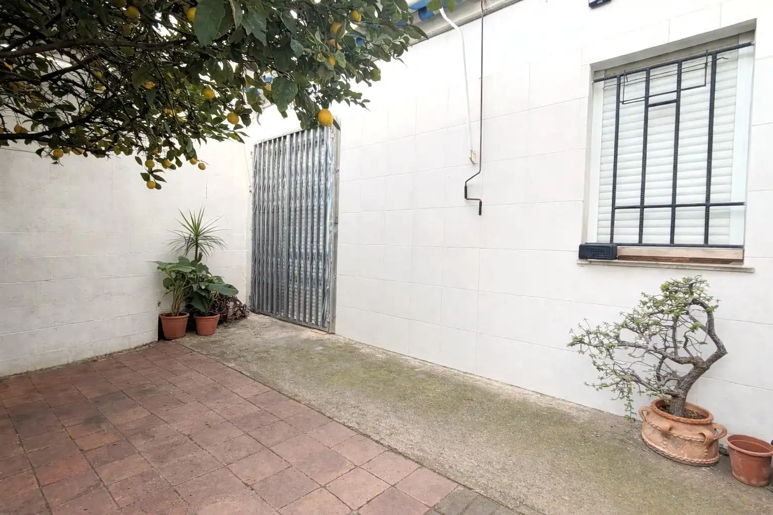 Garden of Houses for sale in Puçol  with Air Conditioner and Community pool