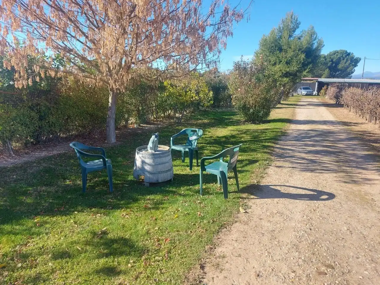 House with pool for sale in Fuente El Saz de Jarama, imagen 44