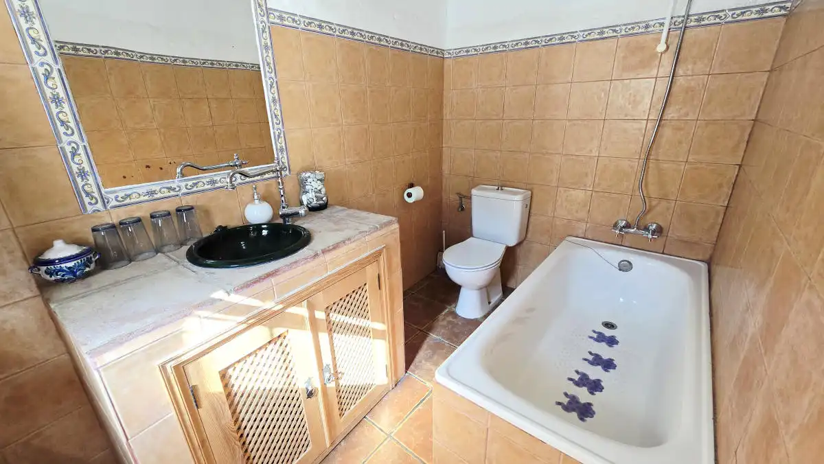 Bathroom of Detached homes for sale in Almáchar  with Air Conditioner, Terrace and Furnished