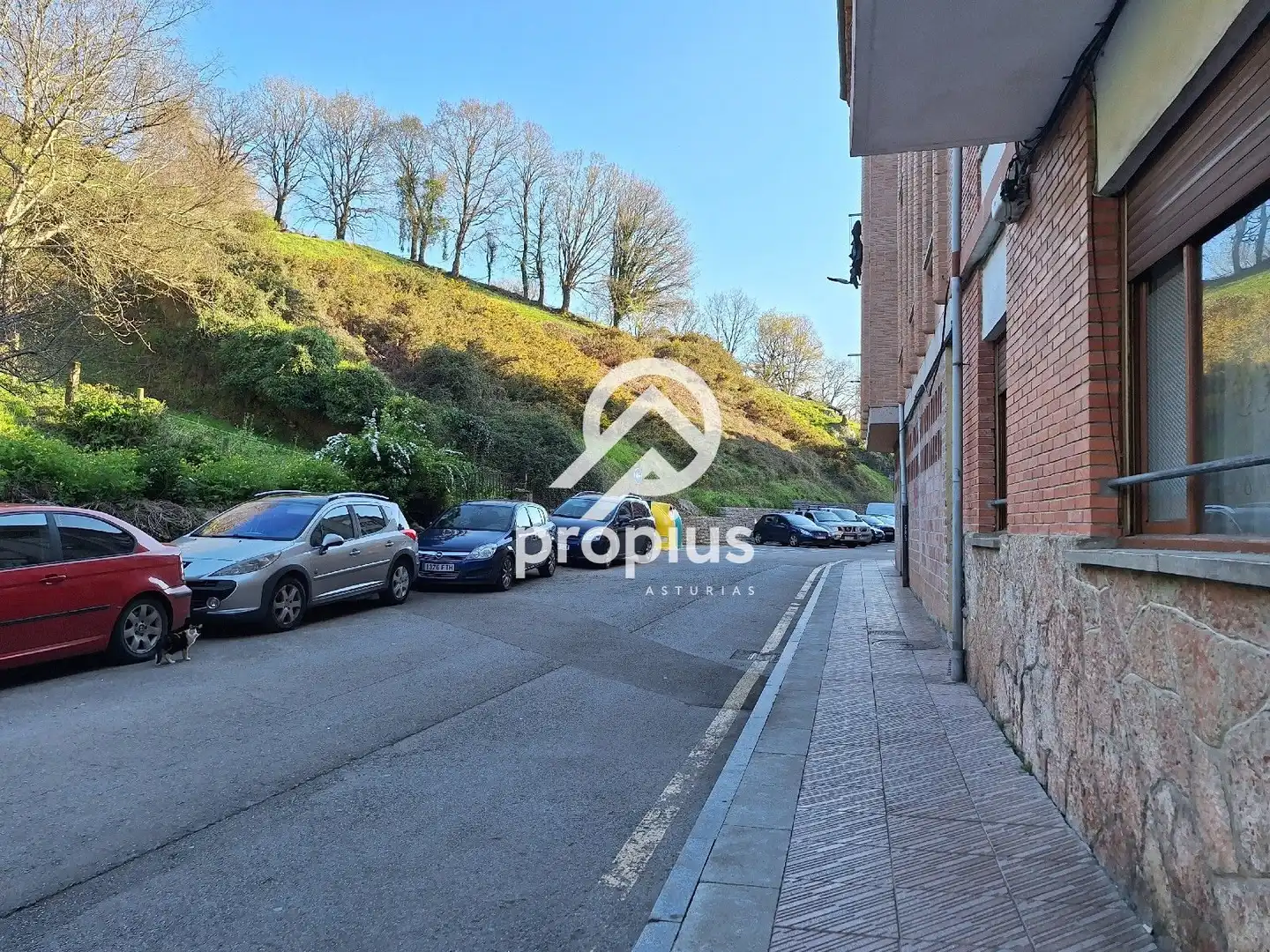 Vista exterior de Piso en venta en Cangas de Onís con Calefacción, Parquet y Trastero