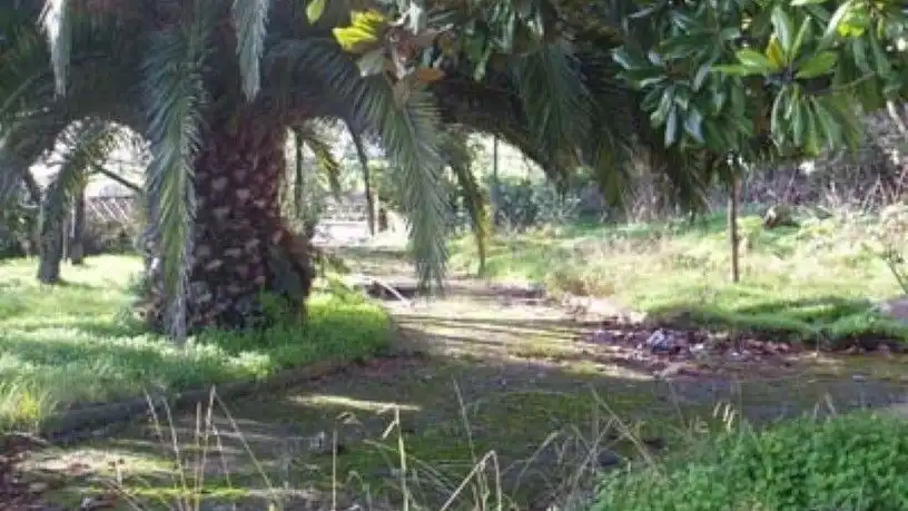 Terreno residenziale in vendita a calle Santo Domingo