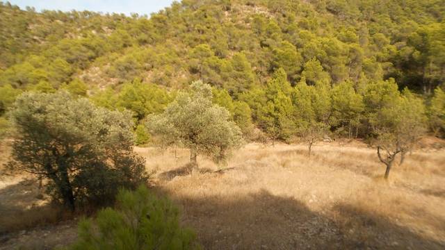 Terreno en Venta en Calle Poblado Enher, 99 en Mequinenza