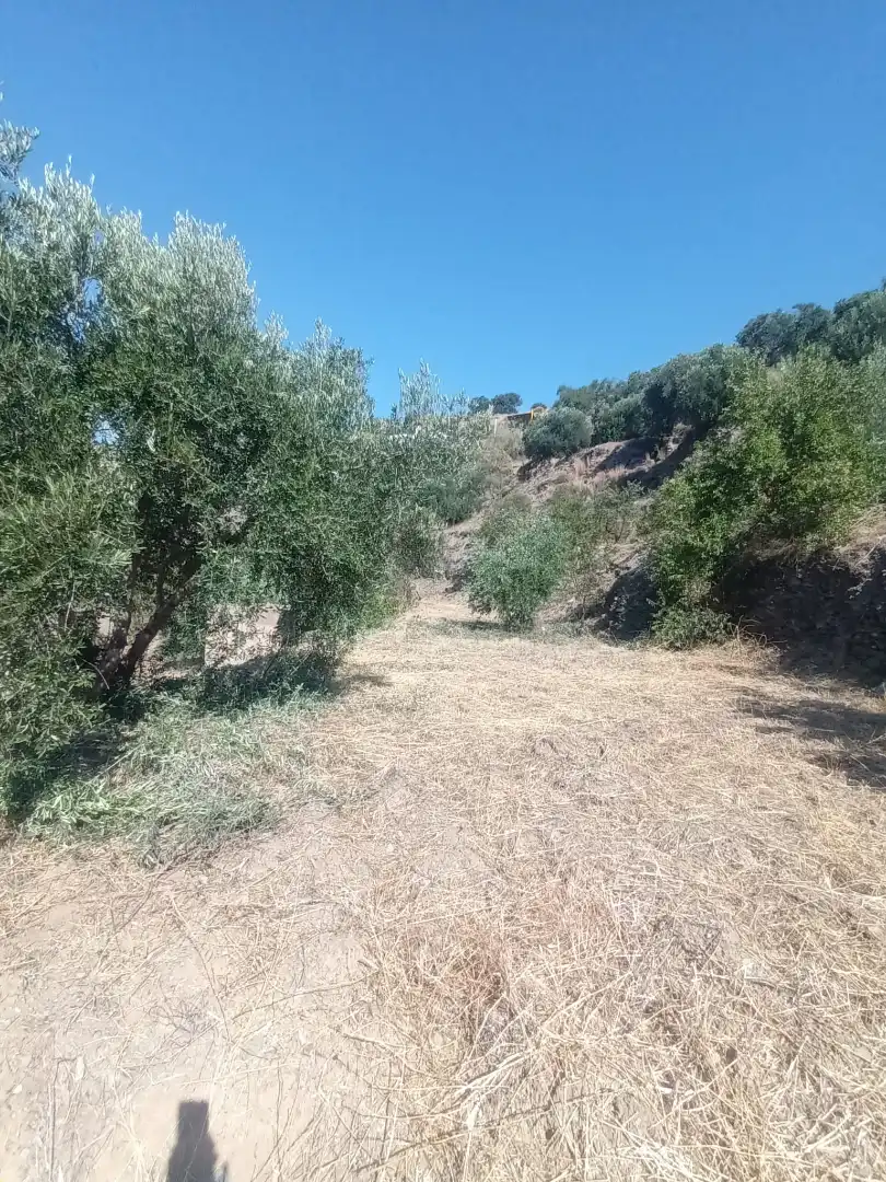 Terreno en venta en Paterna del Río
