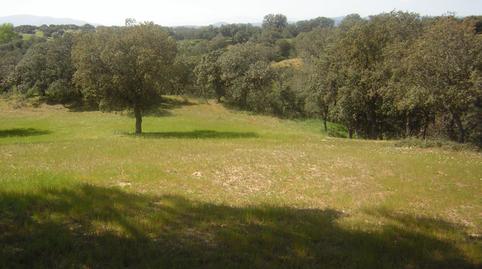 Foto 4 de Finca rústica en venda a Nombela, Toledo